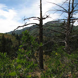 IMG_0974.jpg