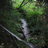 IMG_1016.jpg