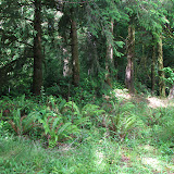 oregon2007_12.jpg
