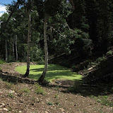 IMG_0885_sm.jpg