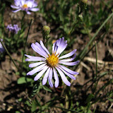 IMG_0926_sm.jpg