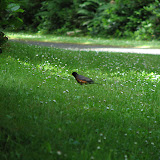 oregon2007w_21.jpg