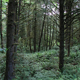 oregon2007_05.jpg