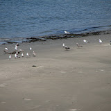 oregon2007w_12.jpg