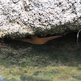 oregon2007w_09.jpg