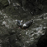 oregon2007w_06.jpg