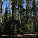 oregon2007_31.jpg