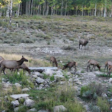 IMG_0033_sm.jpg