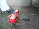 P1000864.JPG