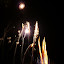 P1000670.JPG