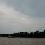 P1030006.JPG