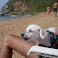 P1030279.JPG
