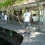 P1030458.JPG