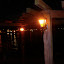 P1030553.JPG