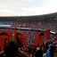 P1030841.JPG