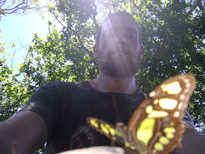 http://lh6.ggpht.com/_JhwvZZ52agw/SRDpse9IvcI/AAAAAAAABuk/zV0f9E6DSbw/s400/DSC00827.JPG