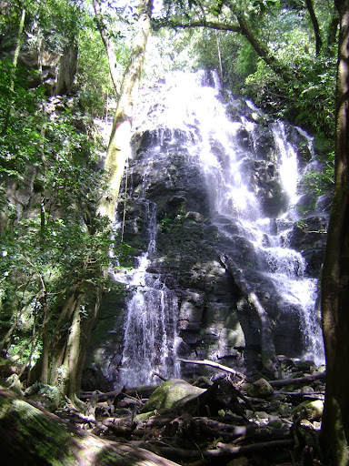 http://lh6.ggpht.com/_JhwvZZ52agw/SSWsMFmYvcI/AAAAAAAACHk/FeSx25lt8GM/s512/DSC00956.JPG
