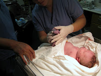IMG_1855.JPG