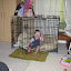 Mackensie Visits Keely 11.jpg