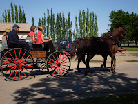 P7110346.JPG