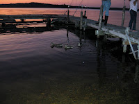 IMG_1428.JPG