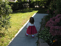 IMG_1442.JPG