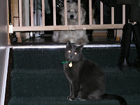 The Mob 025.jpg