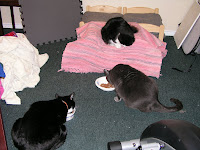 The Mob 015.jpg The Mob 015.jpg