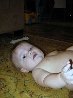 IMG_2328.JPG