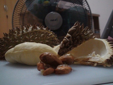 durian (26)