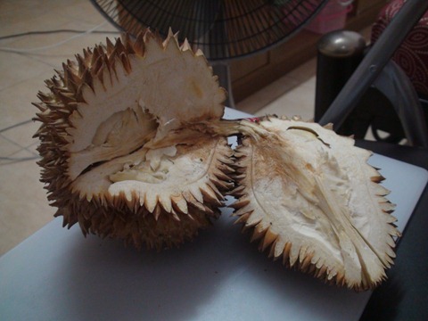durian (13)