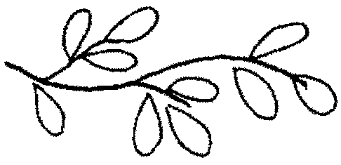 [branch_23.gif]