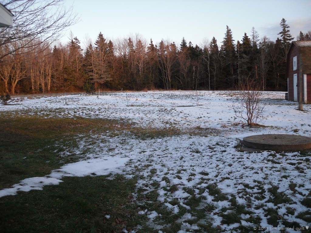 [SAM_09459.jpg]