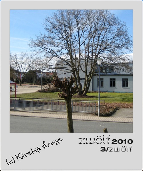 03-zwoelf2010-2