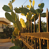 2010-07-17 Kreta 017.JPG