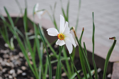 DSC_0040.JPG