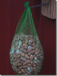 IMG_5380 IMG_5380