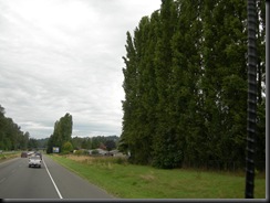 DSCN5173