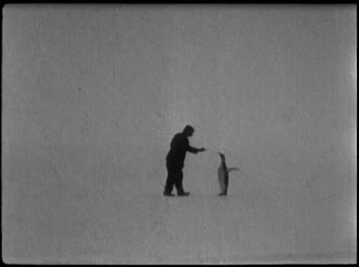 roald amundsen's south pole expedition