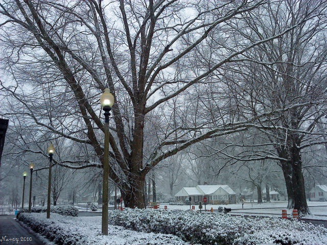 [DSC003126.jpg]