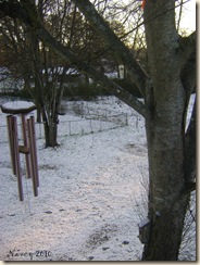 snow