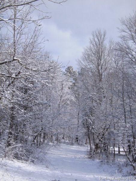 [farm snow5[9].jpg]