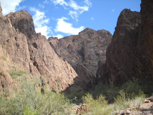 [palm canyon[7].jpg]