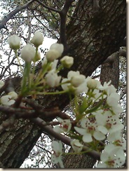 DSC00401