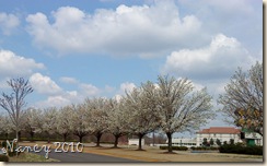 DSC00402