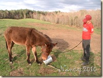 March 2010 049