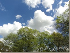April 2010 011
