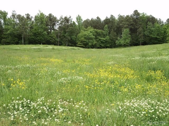 [April20100184.jpg]