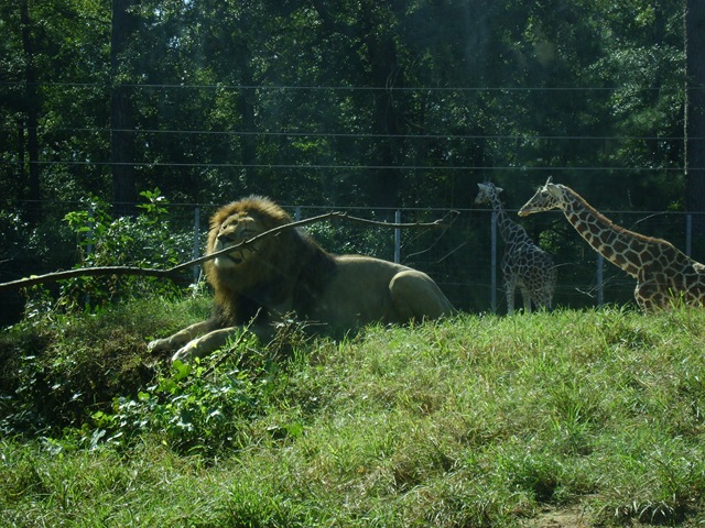 [October20090302.jpg]