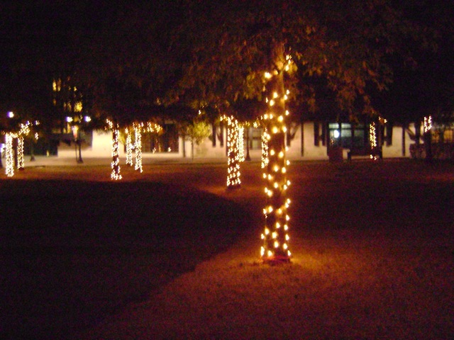 [October 2009 016[4].jpg]